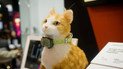 PetPhone / Фото: Android Authority