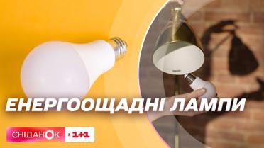 Как бесплатно получить энергосберегающие LED-лампы