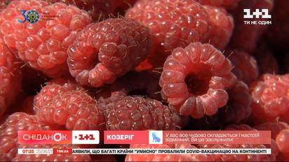 Сезон малини розпочався: скільки коштують ягоди та як корисніше їх їсти