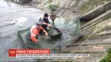 На радість рибалкам: на Одещині почали масово зариблювати водойми