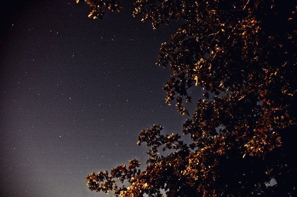 16 листопада зоряне небо — до малосніжної зими / © unsplash.com