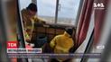 У дніпровській багатоповерхівці виявили півтисячі кажанів