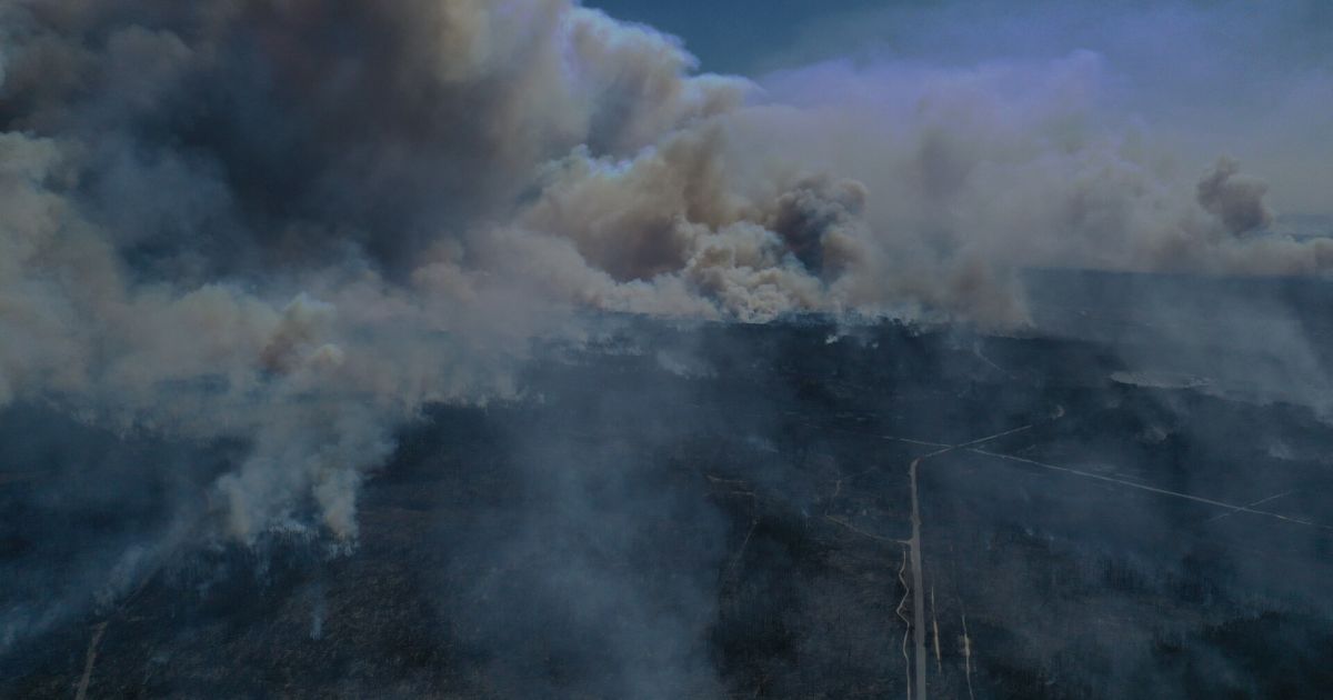 Пожар возле Чернобыля: как повлияло возгорание на радиационный фон и насколько близко огонь подошел к ЧАЭС