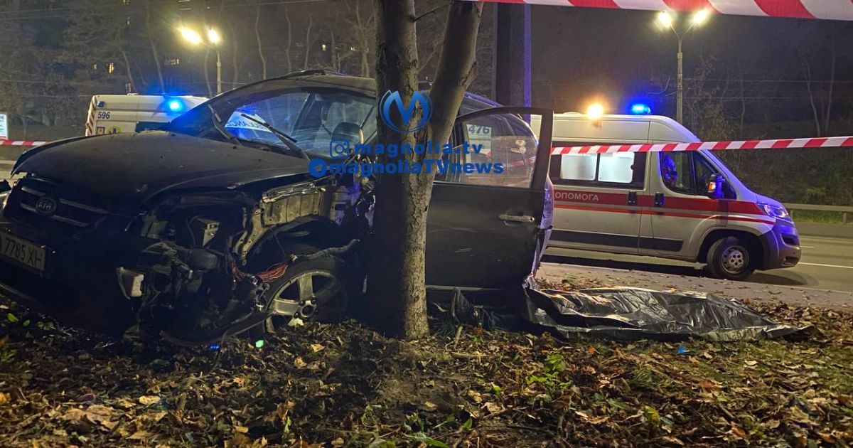 У Києві водій таксі знепритомнів за кермом, врізався у дерево та стовп / © Магнолия-ТВ