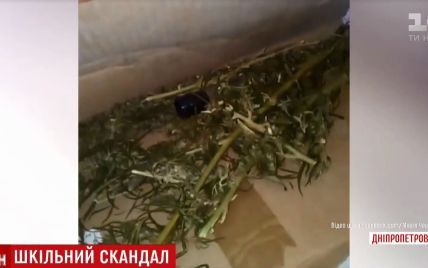 Діти знайшли в спортзалі школи на Дніпропетровщині сховок коноплі, котру педагоги негайно спалили