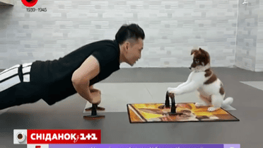 Хлопець тренується зі своїм собакою