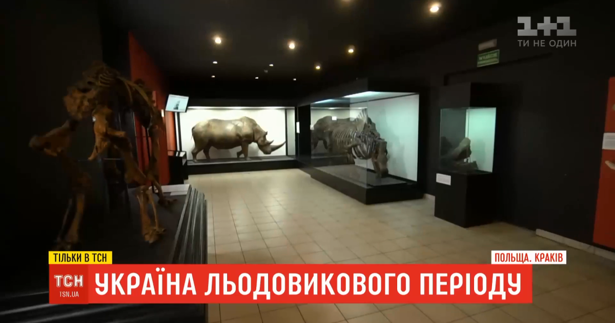 Украина ледникового периода: какие сокровища могут быть спрятаны на Прикарпатье