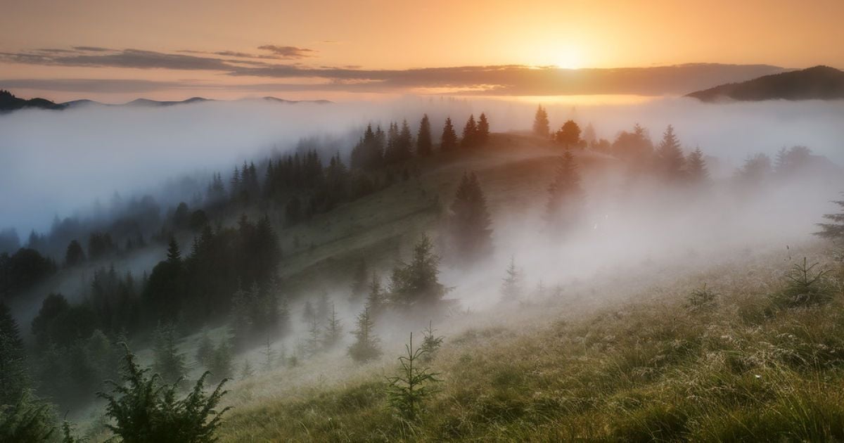 В Івано-Франківській області 72-річний чоловік зірвався зі скелі та зламав хребет