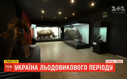 Україна льодовикового періоду: які скарби можуть бути заховані на Прикарпатті