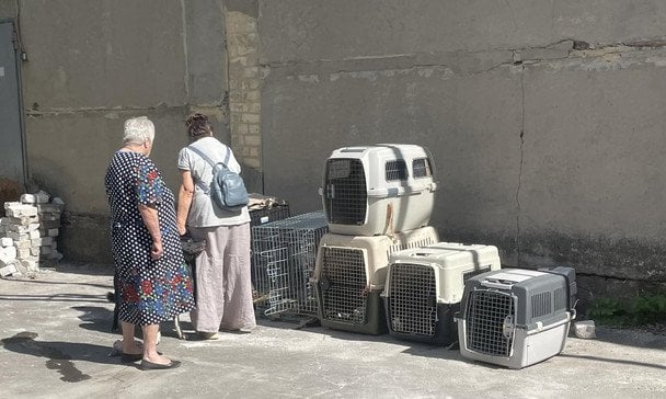 Эвакуированных из-под Покровска женщин с животными выгоняют из села в Винницкой области