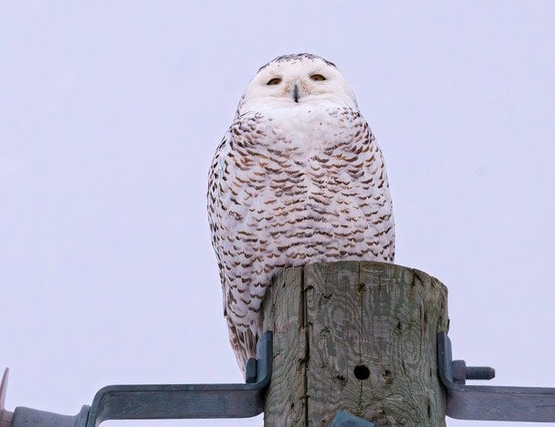 Народные приметы 22 февраля / © pexels.com