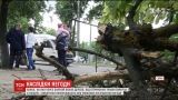 В больнице скончалась женщина, на которую упало дерево во время урагана на Сумщине