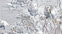 Сніг в пустелі
