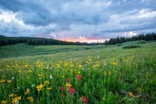 Народні прикмети 29 травня / © Unsplash