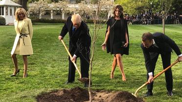 Трамп і Макрон саджали дерево у присутності своїх дружин. / © Twitter/Дональд Трамп