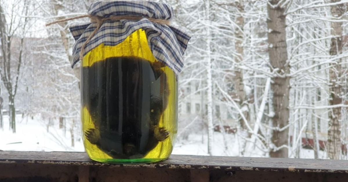 "Звіряче" імпортозаміщення: в Росії зробили настоянку на мертвому кроту, рецепт став відомим у Мережі