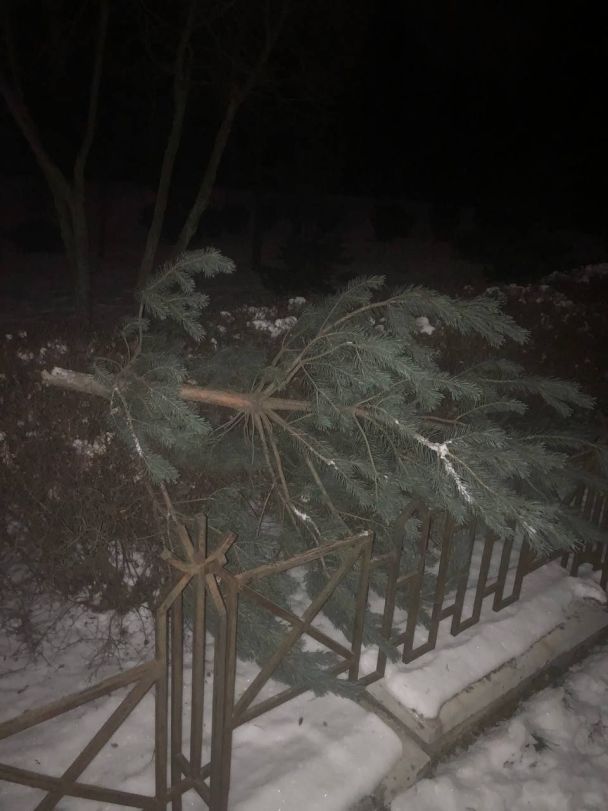  / © КМДА