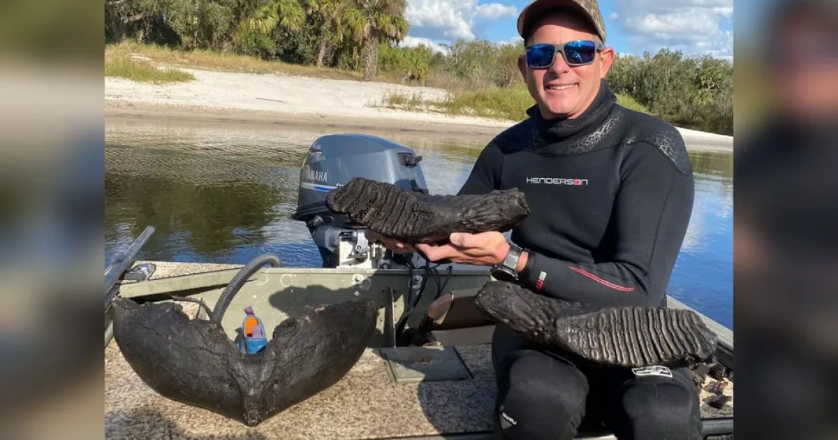 Дайвер знайшов щелепу мамонта / Фото: John Kreatsoulas/fossiljunkies.com