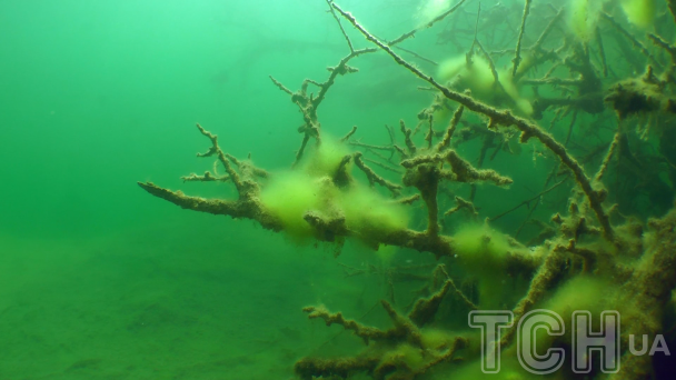 Скриншот з документального фільму ТСН "Побачити дно"