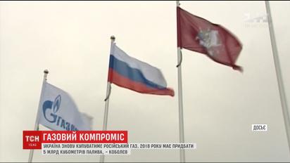 Украинское правительство планирует закупить в России 5 миллиардов кубометров газа