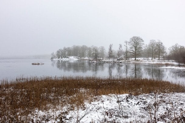 Народні прикмети 7 грудня / © pexels.com