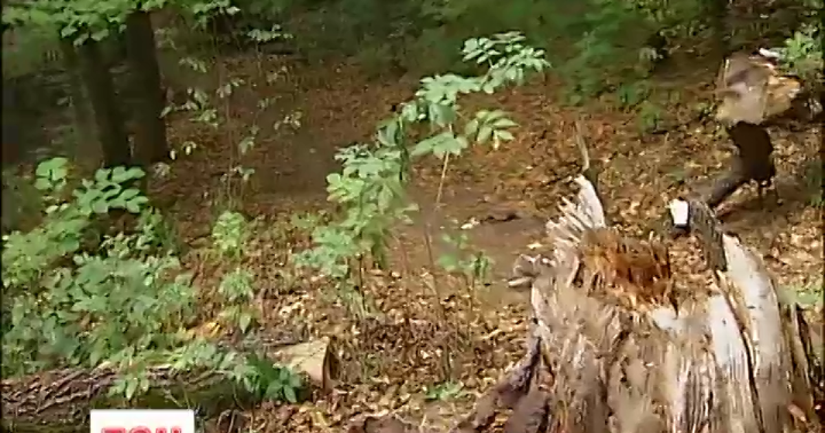 В Киеве найдено тело бойца АТО