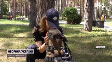 Як чотирилапі шукачі вибухівку  пережили воєнні дії та як допомагали копам