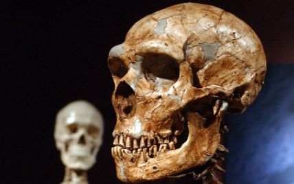 Вчені виявили у кістках неандертальця "родича" коронавірусу