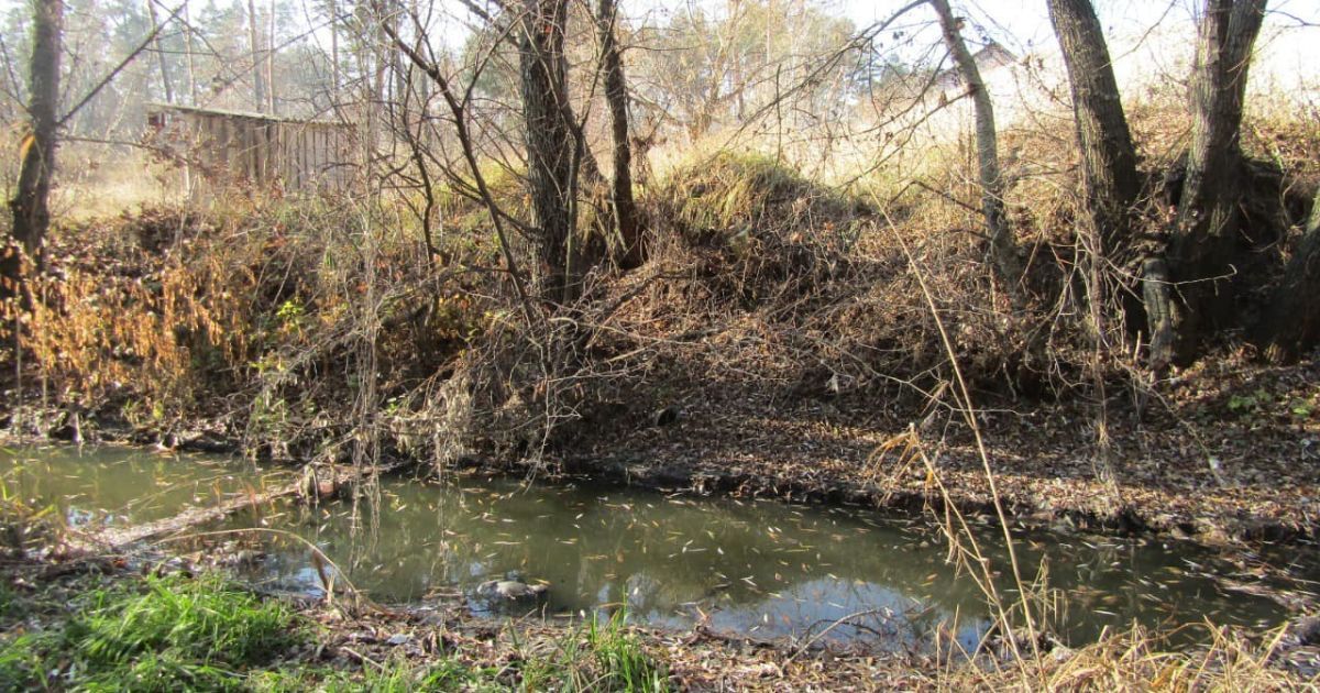 Під Києвом річку Стугну забруднено викидами пічних матеріалів: фото