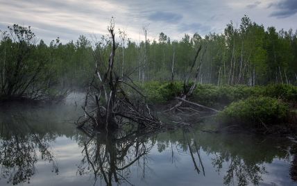 Мистические места Украины: бездонное Черное озеро никогда не замерзает и привлекает нечистую силу