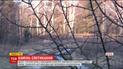На Волині 200 гектарів землі з покладами бурштину опинилися у власності однієї фірми