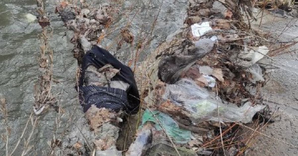 У Києві оприлюднено фото Либіді, що перебуває у жахливому стані