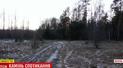 Бурштинова оборудка року: непримітний львів’янин скупив 200 гектарів землі з покладами цінного каміння