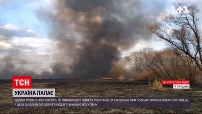 Новини України: у Київській області вигоріло 300 гектарів землі через підпал сухої трави