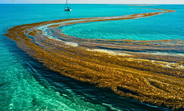 У світі існує море без берегів: воно стрімко змінюється