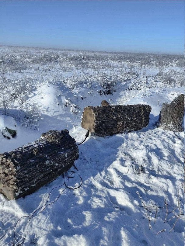 Ворог маскує антени РЕБ і зв’язку під штучні дерева / © Сергій Флеш