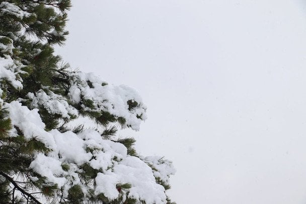 Народні прикмети 30 грудня / © pexels.com