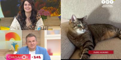 Ексклюзив "Сніданку": кіт Степан про повернення до України