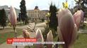 Выходные будут, по прогнозам синоптиков, теплыми и без осадков