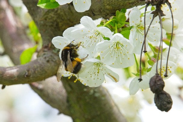 Народні прикмети 30 квітня / © unsplash.com