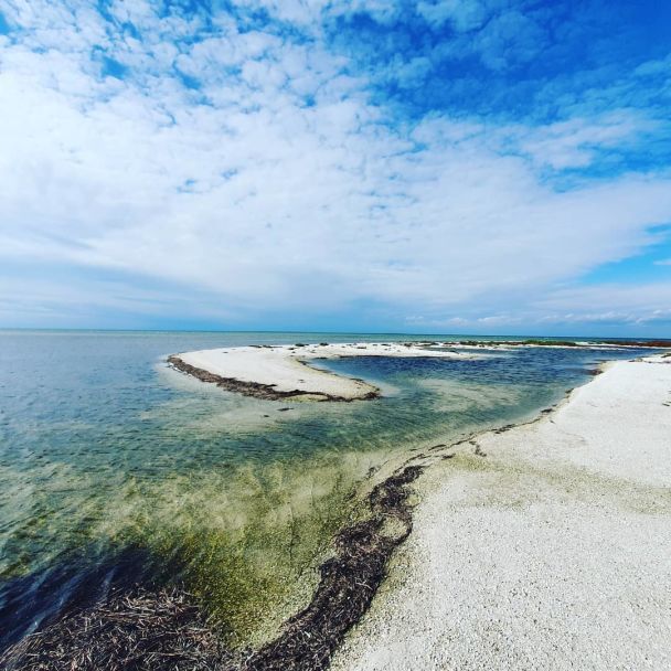  / © instagram.com/biryuchiy