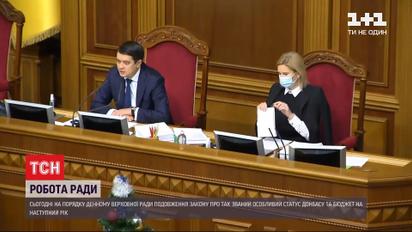 Як просуваються питання бюджету та закону про "особливий статус" Донбасу у парламенті