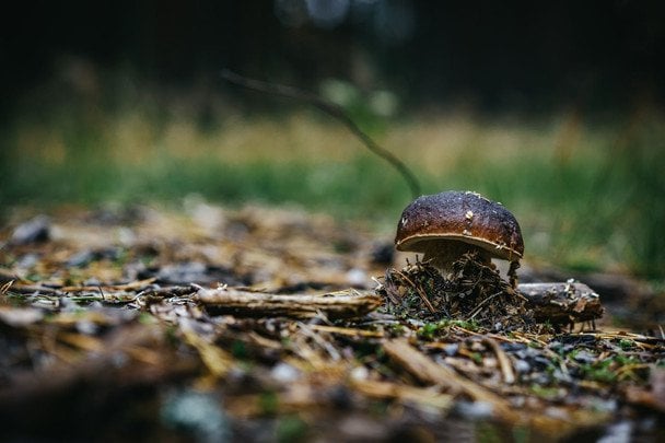 Народні прикмети 8 вересня / © pexels.com