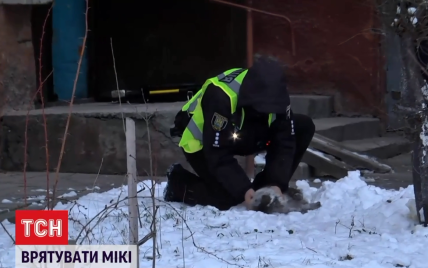 Робили масаж серця: у Львові поліцейські врятували з пожежі кішку, яка ледь не вчаділа (відео)