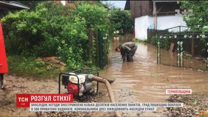 Грозова стихія потрощила дахи та зіпсувала врожай на Західній Україні