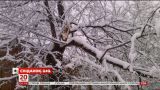 Центральні та східні області України оговтуються від квітневих снігопадів