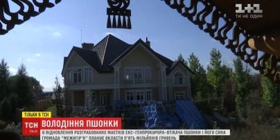 Заброшенные имения Пшонки после ограблений передали на хранение общине "Межигорья"