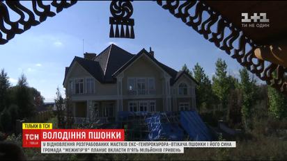 Занедбані маєтки Пшонки після пограбувань передали на зберігання громаді "Межигір'я"
