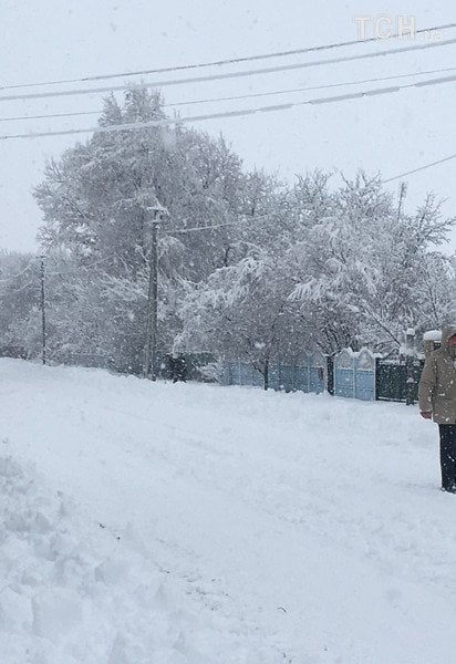 Зимова казка чи стихія. Україну почало завалювати снігом до колін