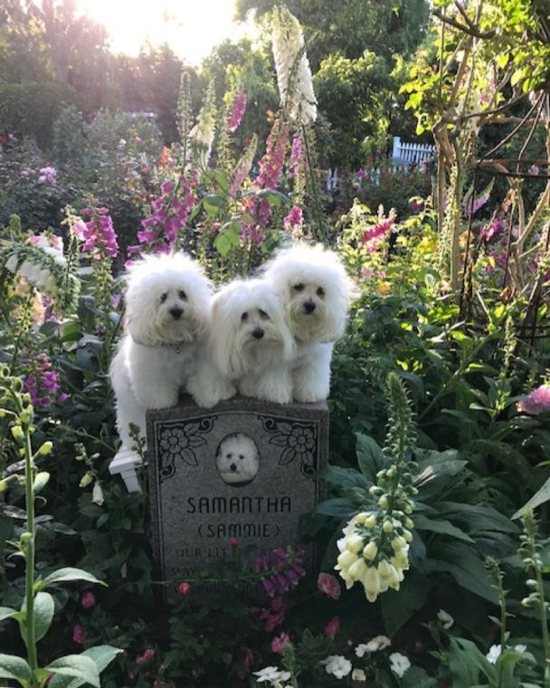  / © instagram.com/barbrastreisand